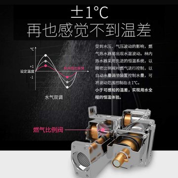 林内16升 燃气热水器 静音恒温强排式 JSQ31-C01（RUS-16QD01）天然气