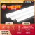 佛山照明 T8 0.6米 8W 中间 出线 LED灯管 (计价单位：个) 白光第2张高清大图