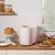 松下（Panasonic） 面包机 粉色 家用1斤 烤面包机 家用 全自动 多功能和面 SD-PY100第4张高清大图
