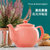 英国Price & Kensington网红陶瓷滤泡茶壶（含滤网）-火烈粉 1100ml第3张高清大图