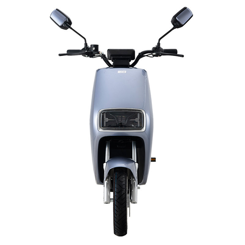 新日电动车小布朗bls-na16/0400/06dgj1雅仕亮灰