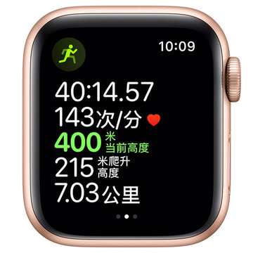 Apple Watch Series5 智能手表GPS款(40毫米金色铝金属表壳搭配粉砂色运动型表带 MWV72CH/A)